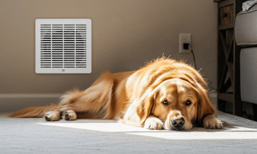 Why Return Air Vents Matter for Proper HVAC Airflow and Comfort
